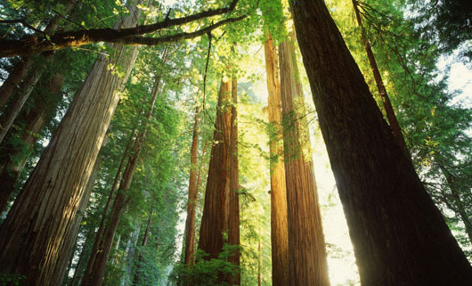 材料學應用，好品質(zhì)源自好材料